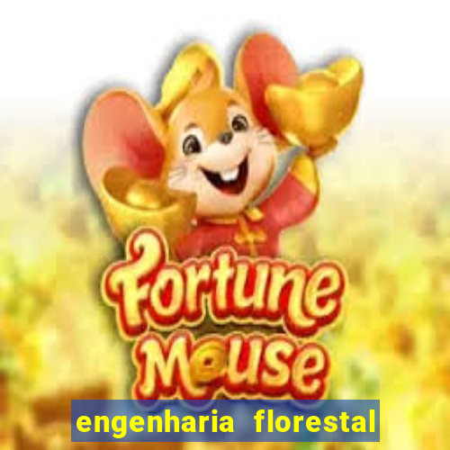 engenharia florestal ead cruzeiro do sul